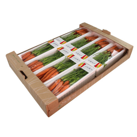 MINI CAROTTE SALES 8X140G
